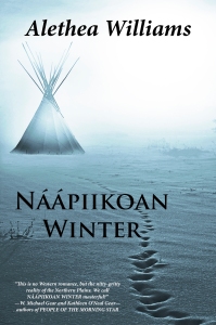 Naapiikoan Winter Cover